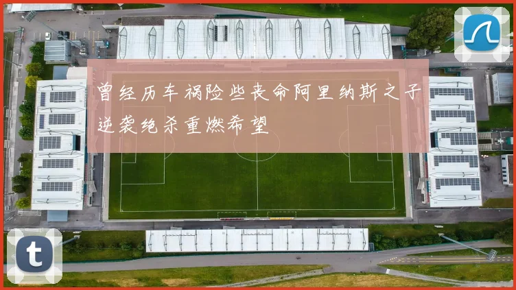 曾经历车祸险些丧命阿里纳斯之子逆袭绝杀重燃希望