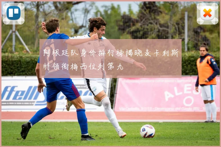 阿根廷队身价排行榜揭晓麦卡利斯特领衔梅西位列第九