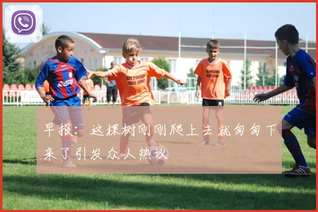 早报：这棵树刚刚爬上去就匆匆下来了引发众人热议